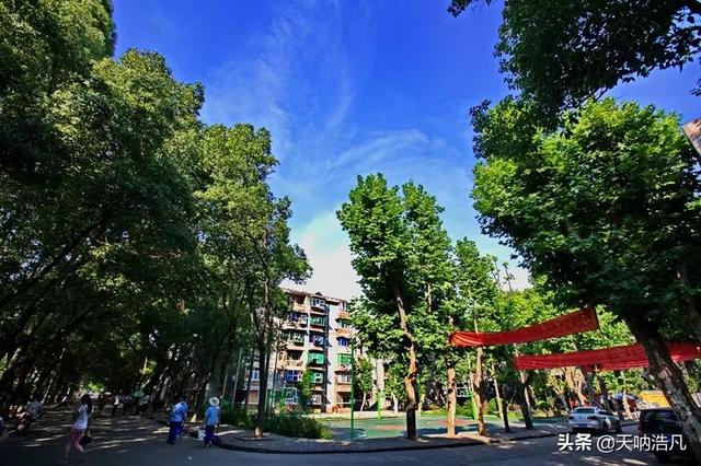 湖北大学怎么样,排名好不好(湖北大学,湖北省属最强高校) 湖北大学怎么样,排名好不好(湖北大学,湖北省属最强高校)