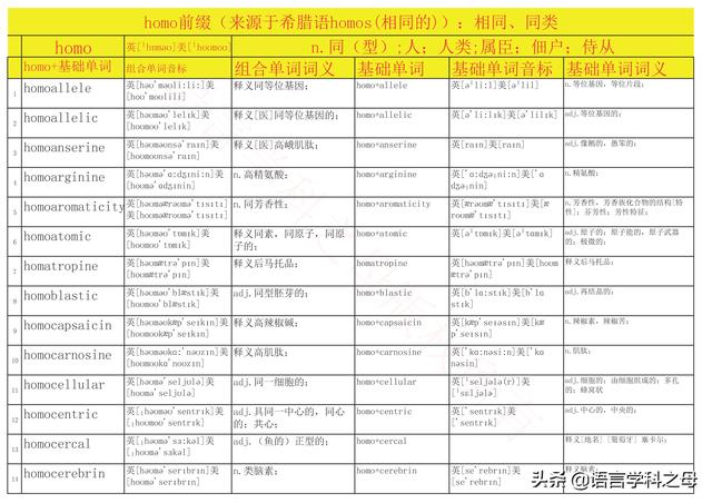 国民homo什么意思，homolive什么梗（总结了367个以hyper、240个以hypo前缀、106个以homo前缀的单词）