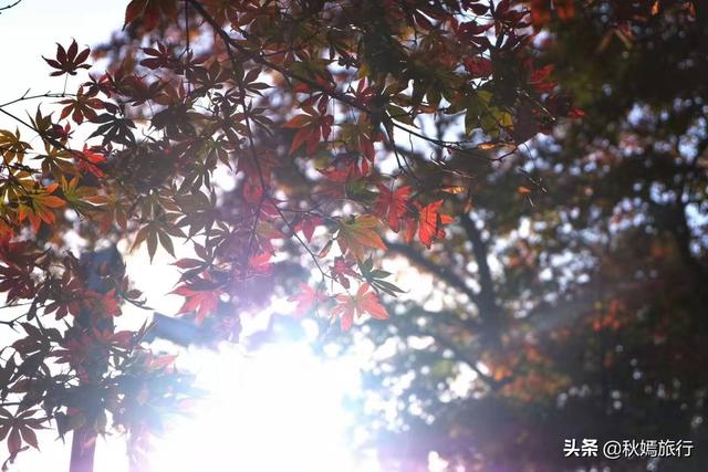 常熟虞山风景区是哪的，常熟市中心这座免费公园