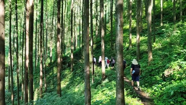 成都市区必去一日游，成都市区一日游最佳攻略（推荐9个成都周边1日游好去处）