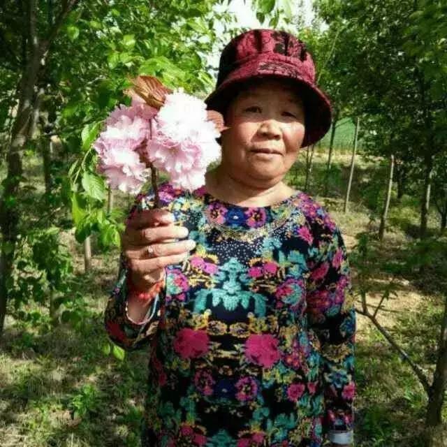 国防生停招真正原因，这些国防生成了义务兵（最遗憾的事是······）