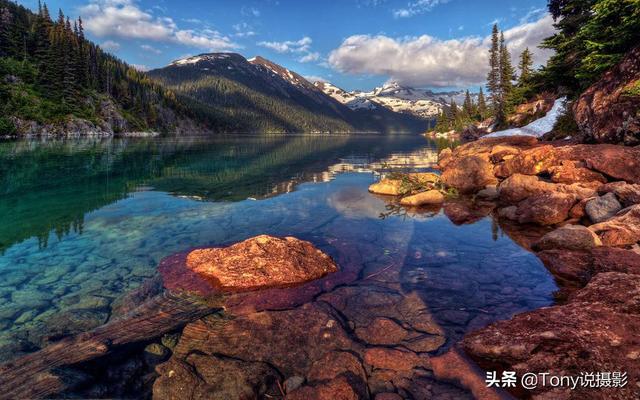 入门单反相机选哪款好，购机推荐：新手挑选单反相机