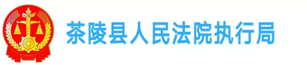 被法院列入失信被执行人名单（曝光）