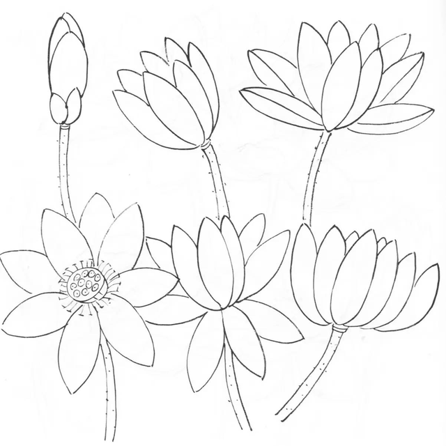 水墨画初学者入门教程，水墨画入门教程（图文教程：画水墨荷花）