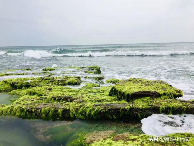 惠州海岛旅游景点哪里好玩，惠州野沙滩大汇总：8个野沙滩