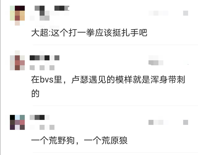 谁有正义联盟全部成员名单，正义联盟的成员都有谁（网友：打一下应该挺扎手）