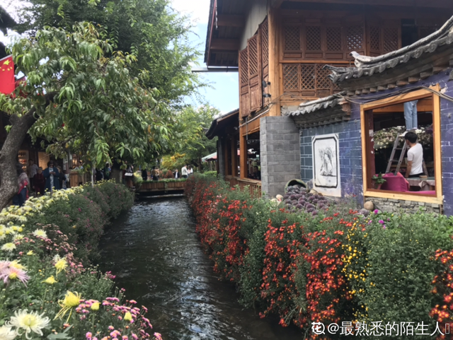 荷花有几种颜色，莲花有几种颜色分别是象征什么（1盆菊花售价1.2万）