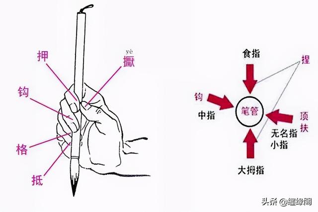 怎样正确的握笔写字，怎样正确拿笔写字（书法握笔的正确方法）