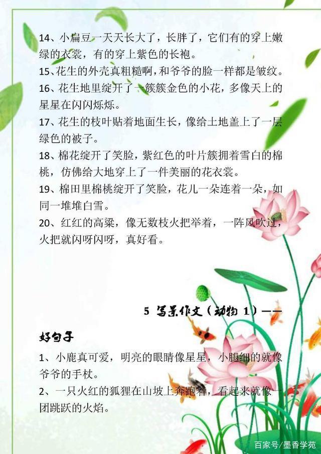 唯美写景的万能开头，写景作文的开头优美句子（写景作文的相关技巧）