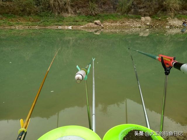 仲春是什么意思，仲夏仲春是什么意思（仲春野钓鲫鱼：深度分析）