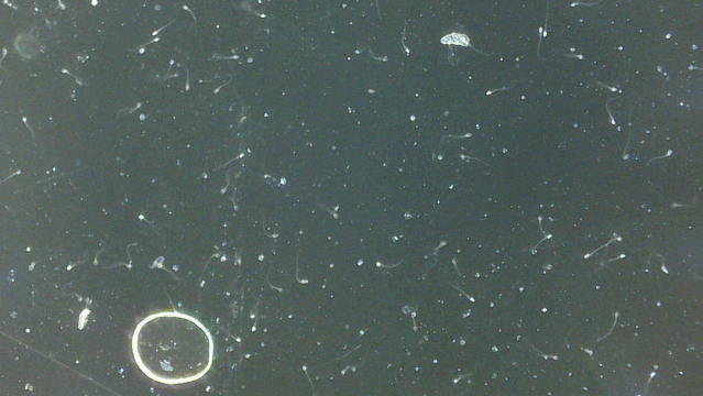 dmiscope，如何在windows7系统下修改主板DMI信息（TipScope显微相机）