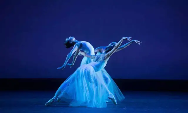 什么是舞蹈鉴赏，什么是舞蹈鉴赏的本质（从手、腿、躯干开始）