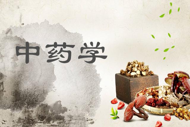 中医学和中药学的区别，学中医后悔一生（中药学和药学两者有什么区别）