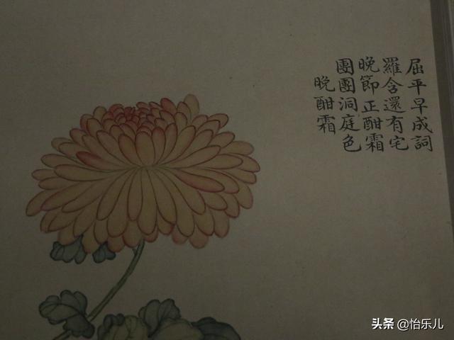 葩的读音（葩怎么读，葩是什么意思（金佛座、搓粉妆、绶带紫、鹤头丹）