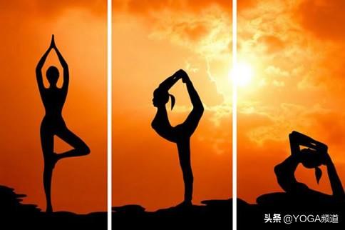 瑜伽基本动作十二式，初学者必练12个动作（瑜伽入门动作十二式）