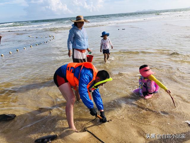 惠州海岛旅游景点哪里好玩，惠州野沙滩大汇总：8个野沙滩
