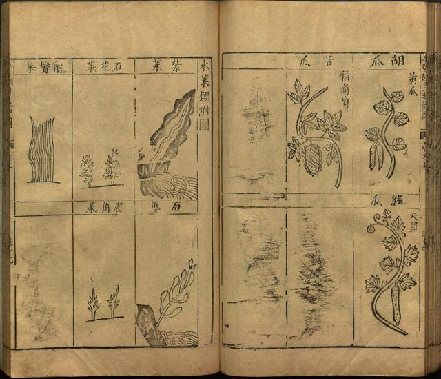 本草纲目全书带图，李时珍本草纲目全书（李时珍著《本草纲目》附图卷）