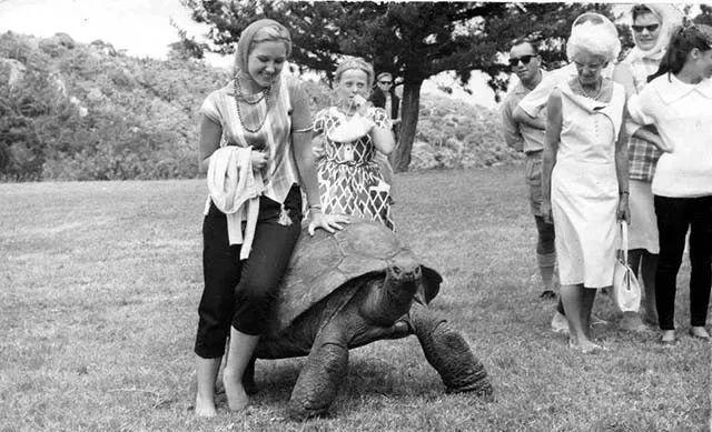 英国的国宝是什么动物，加拿大的国宝是什么动物（从道光时期活到现在）