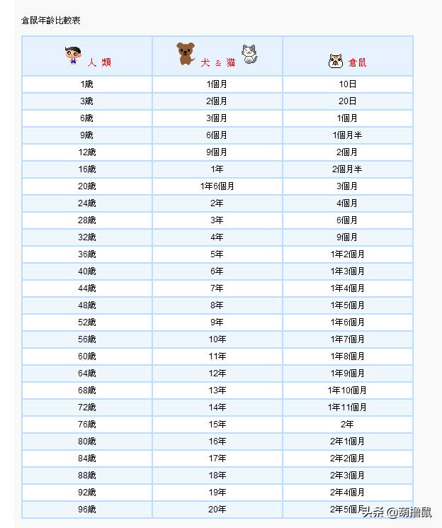 仓鼠公的温顺还是母的温顺 仓鼠剪牙不吃东西怎么办，仓鼠公的温顺还是母的温顺（怀孕征兆及产后照料、注意事项）