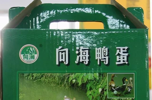 通榆县属于哪个市，通榆县面积有多大（“五一”相约美丽鹤乡）
