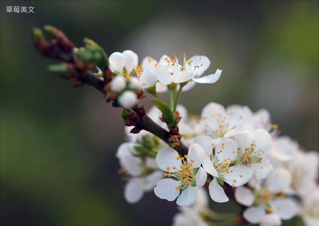 同学情谊最珍贵的句子，同学情谊的经典句子（最难忘是同学情）