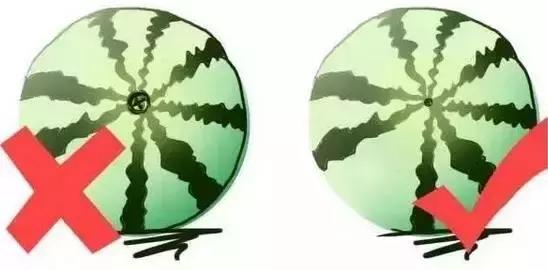 水果寒性热性一览表,水果寒性热性一览表图(最全水果手册,赶紧收藏~) 水果寒性热性一览表,水果寒性热性一览表图(最全水果手册,赶紧收藏~)