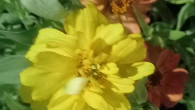 怎么进入深度睡眠，教你如何进入深度睡眠（睡眠的秘密——不再失眠和快速进入深度睡眠的方法）