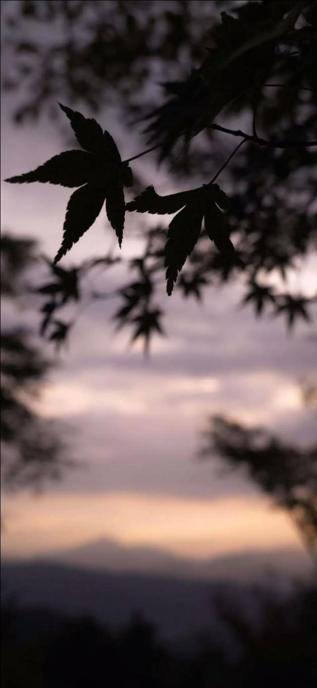 全屏壁纸，全屏壁纸图片大全（各类个性设计壁纸和风景壁纸）