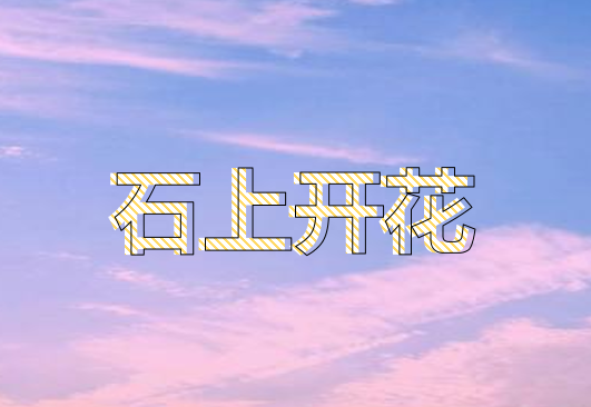 ppt表格线条怎么变颜色，ppt怎样修改边框颜色（PPT中如何设置好看的线条字体）