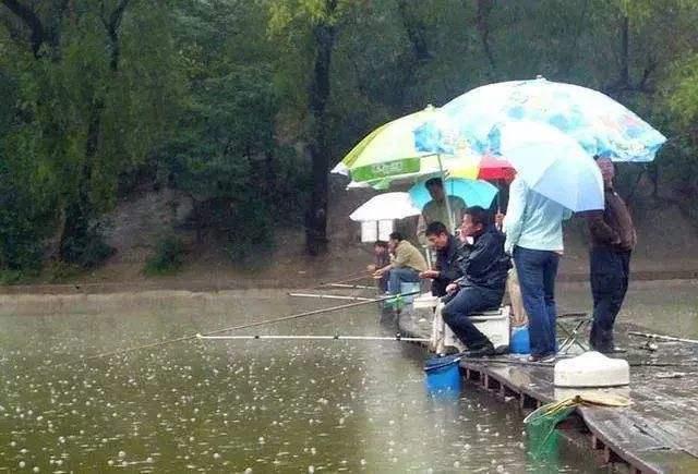 下雨天钓鱼好不好钓，下雨天钓鱼好不好钓路亚（都说雨天好钓鱼）