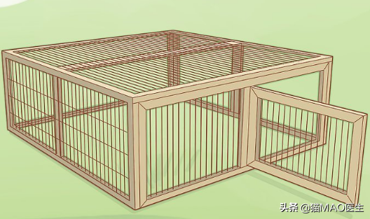 小白兔用什么辨别气味，小白兔的气味是什么味道（邻居小妹抓了一只兔子不知道怎么养）