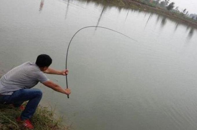 气温升高时草鱼最佳钓法技巧，掌握这几点轻松上鱼不空军