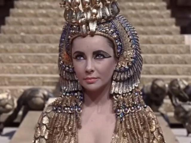 库拉索芦荟的功效与作用，库拉索芦荟（为何库拉索芦荟能一枝独秀）