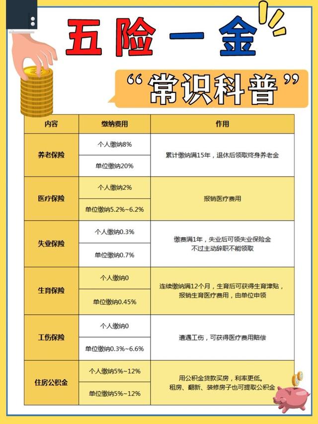 五险一金和社保有什么区别，社保和五险一金有什么区别（社保/五险一金是什么）