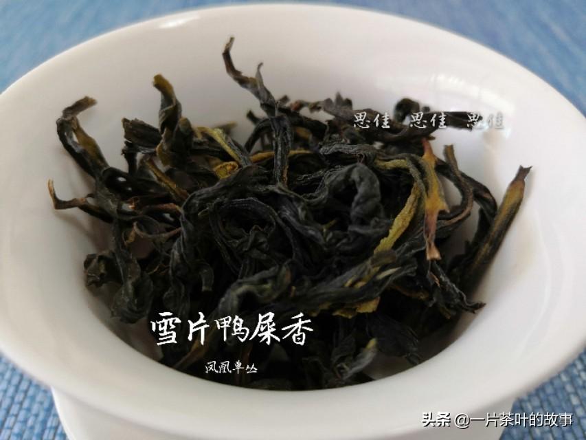 雪片茶有什么特点?
