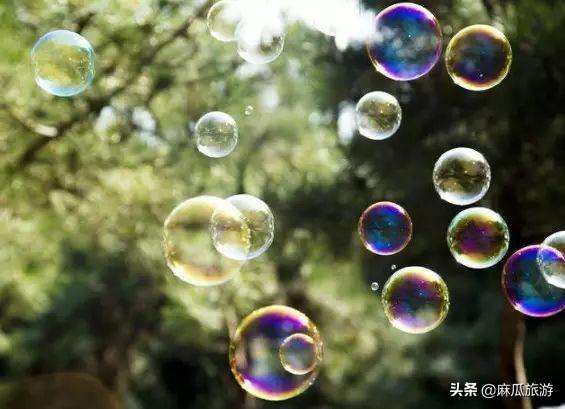 阴阳师樱桃妖位置分布，阴阳师樱桃妖在哪打好（新乡这个地方的樱桃可以采摘了）