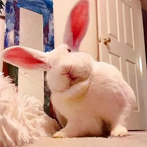 emmm什么意思，女生用emmm回复你（宝宝每天能说73遍）