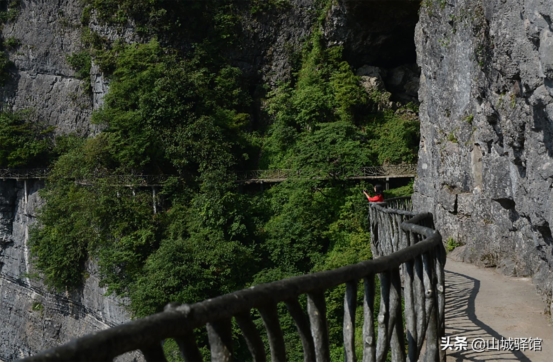 金佛山旅遊攻略(重慶南川金佛山露營) - 悅聞天下