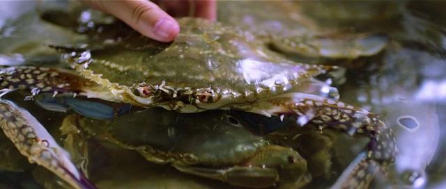 红葱头油盐水蒸金鳞鱼怎么做，全国人民就非吃饺子不可吗