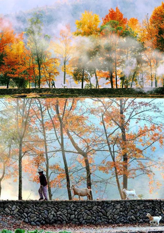 楠溪江风景区主要景点，楠溪江风景区主要景点永嘉书院（永嘉楠溪江8个必玩景点）