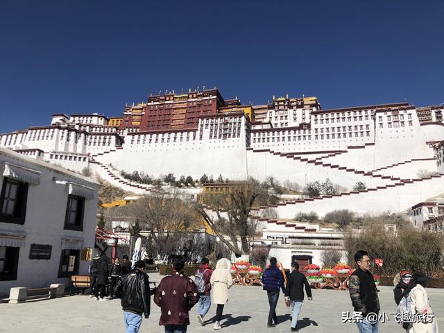 青海湖高原反应，青海湖海拔多高有高原反应吗（想去青海西藏的你准备好高反了）