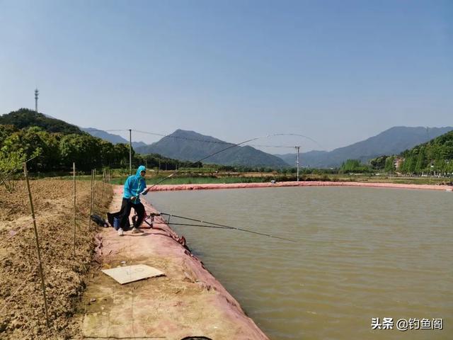 为什么多数伞黑胶在外，黑胶伞一定是黑色的吗（还被晒成了“煤炭”）