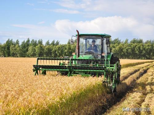 立秋是什么时候，2021年立秋是什么时候（今年立秋是“热暑秋”）