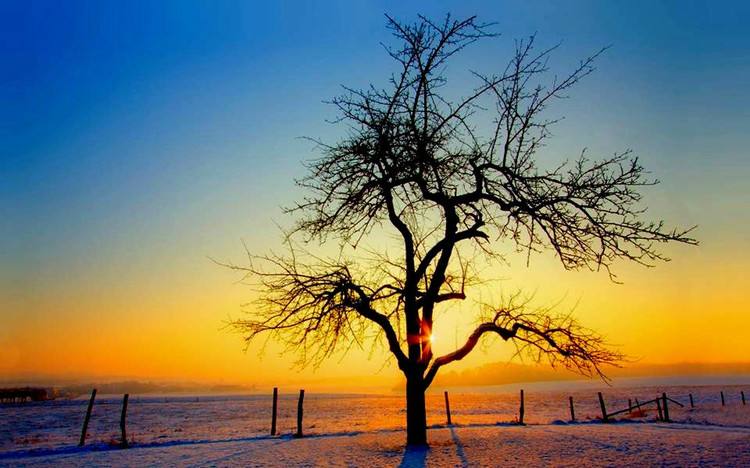 第三境界:众里寻他千百度.