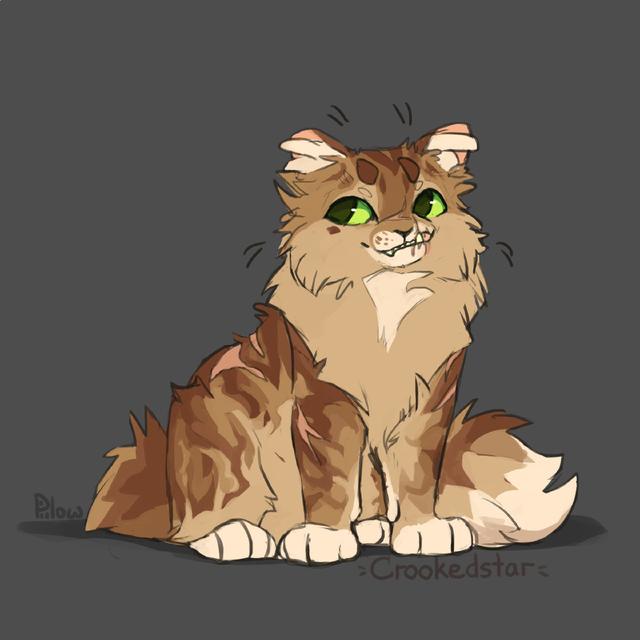 猫咪头像微信，猫咪头像（哪只像你的小可爱）