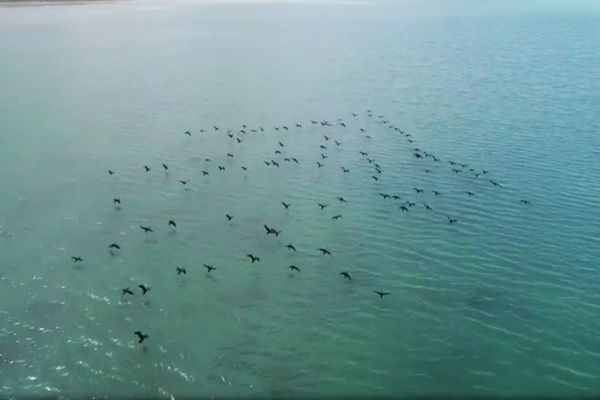 河人是什么，河里的人叫什么（塔里木河人）