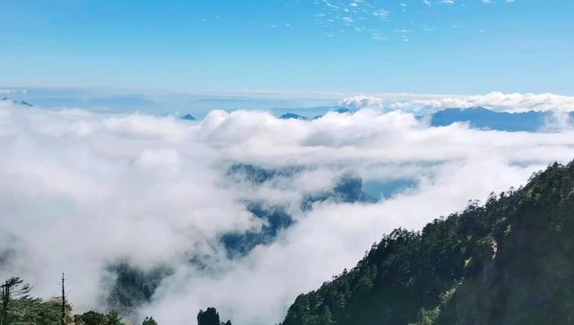 神农架旅游攻略，神农架二日游路线（神农架景区旅游攻略）