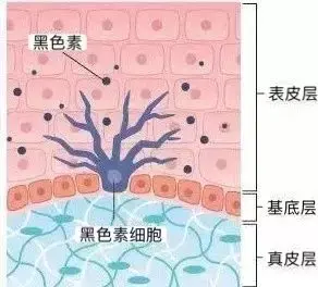 什么能祛痘和痘印，用什么可以祛痘祛痘印（红痘印黑痘印一年也去不掉）
