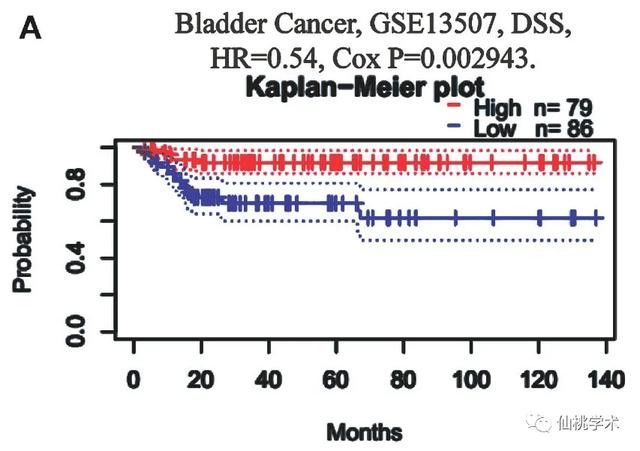 excel左右拉条不见了，excel的左右滚动条不见了（单基因泛癌免疫分析）