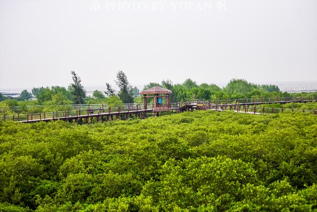 海陵岛有什么好玩的闸坡怎么样，闸坡海陵岛攻略（广东海陵岛超级实用的游玩攻略）